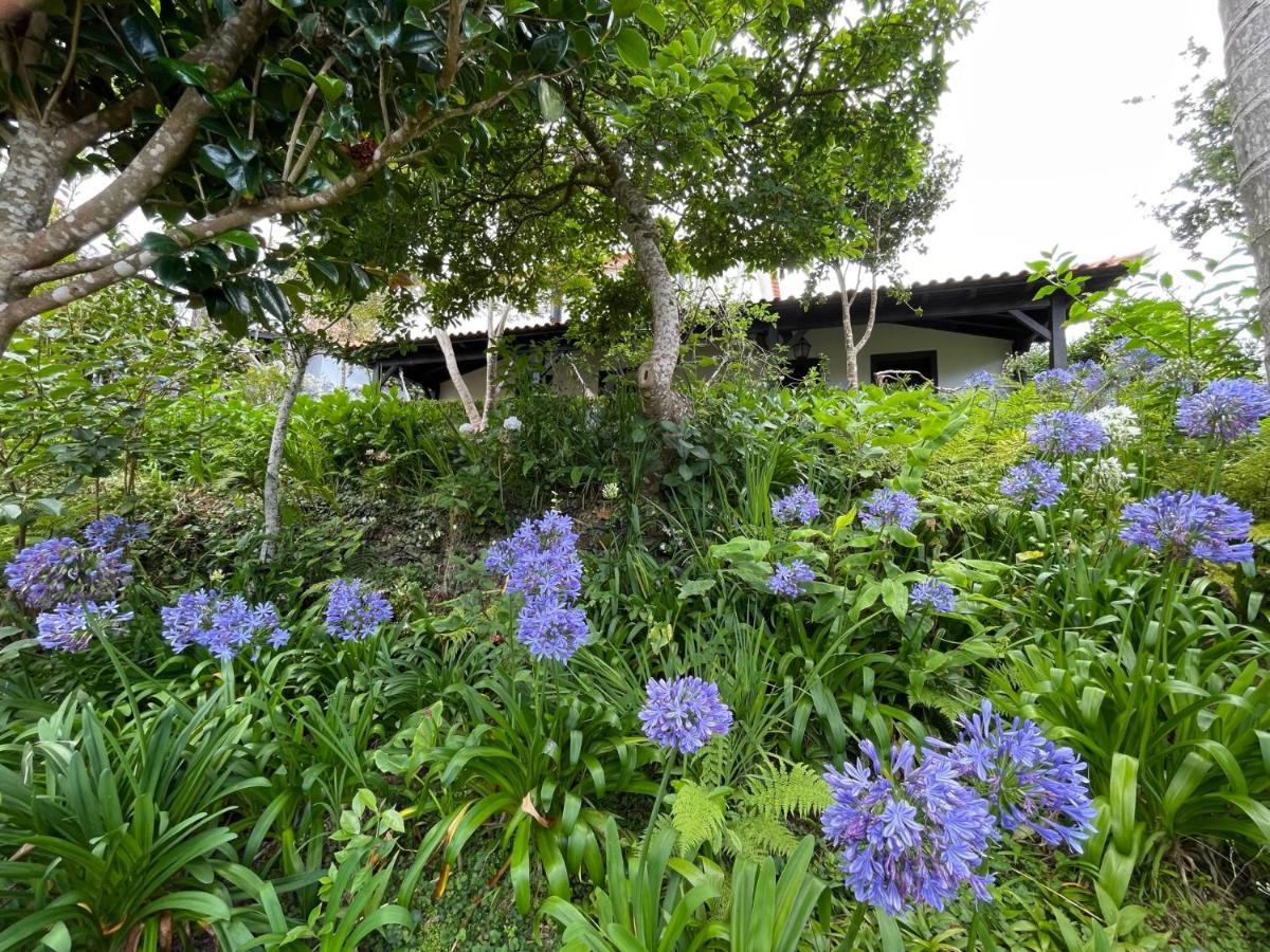 Casas De Campo Do Pomar B&B - Self Check-In Сантана Экстерьер фото
