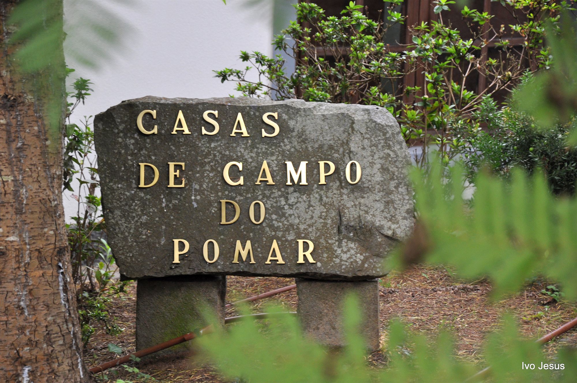Casas De Campo Do Pomar B&B - Self Check-In Сантана Экстерьер фото
